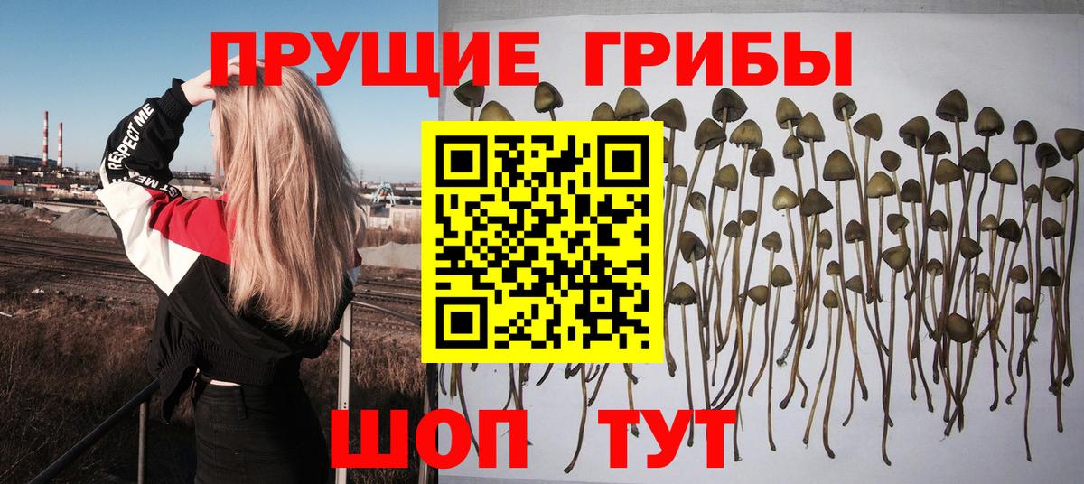 Лабытнанги  Псилоцибиновые грибы мухоморы  купить наркотик  Вход с VPN 