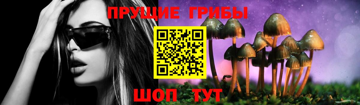 Псилоцибиновые грибы мухоморы Лабытнанги